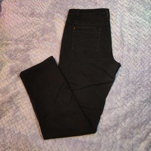 Santana Women's Classic Straight Leg Jean, Size 12 inseam 32